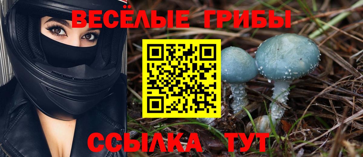 Узловая  Галлюциногенные грибы ЛСД  Вход с VPN 